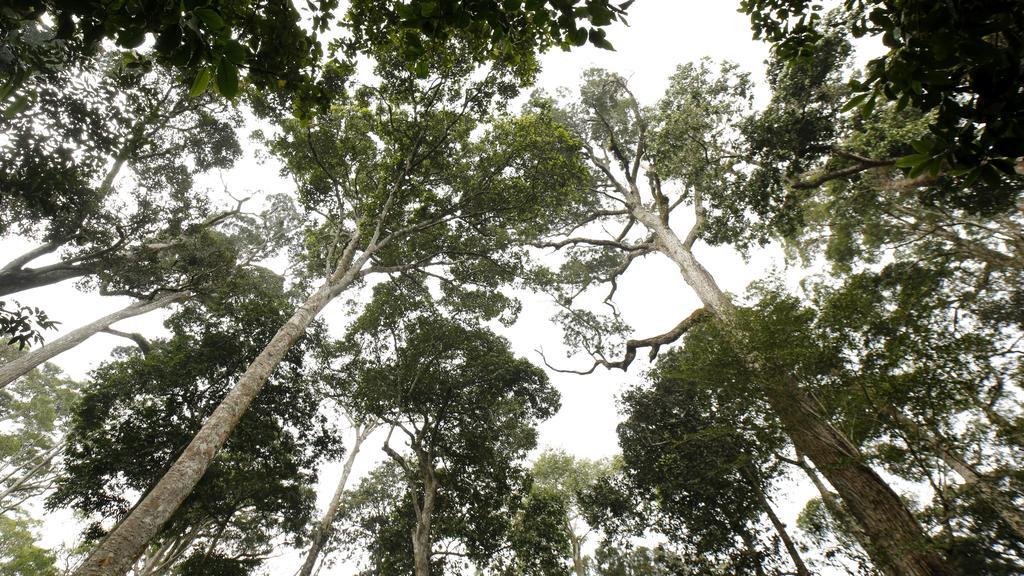 Ecotones Munnar By Eden Environs Hotel Ngoại thất bức ảnh