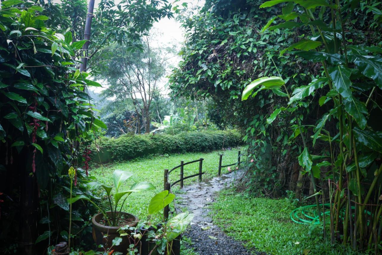 Ecotones Munnar By Eden Environs Hotel Ngoại thất bức ảnh