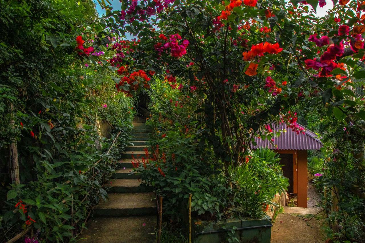 Ecotones Munnar By Eden Environs Hotel Ngoại thất bức ảnh