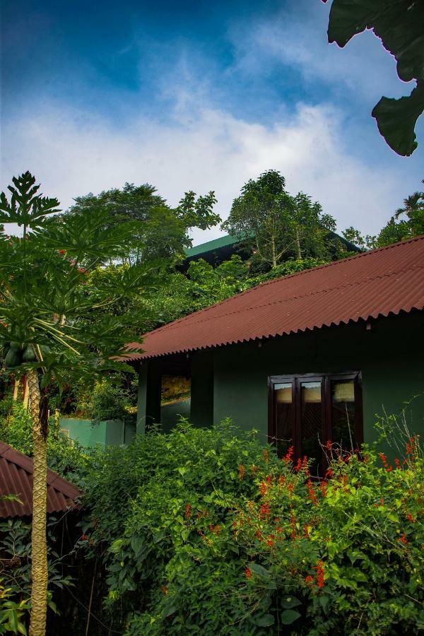 Ecotones Munnar By Eden Environs Hotel Ngoại thất bức ảnh