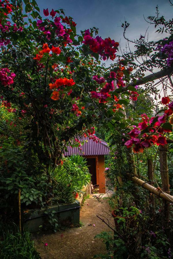 Ecotones Munnar By Eden Environs Hotel Ngoại thất bức ảnh