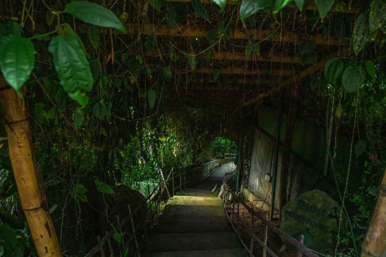 Ecotones Munnar By Eden Environs Hotel Ngoại thất bức ảnh