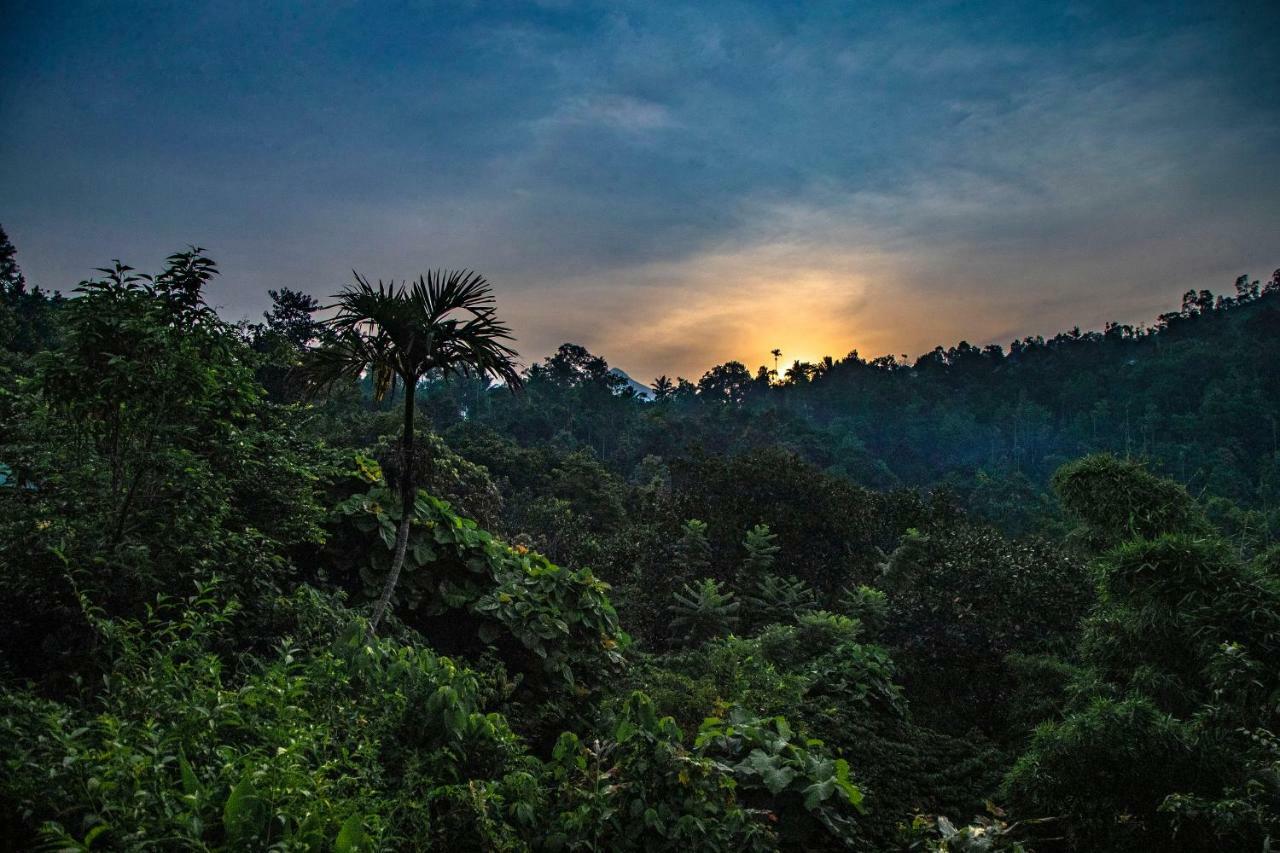 Ecotones Munnar By Eden Environs Hotel Ngoại thất bức ảnh