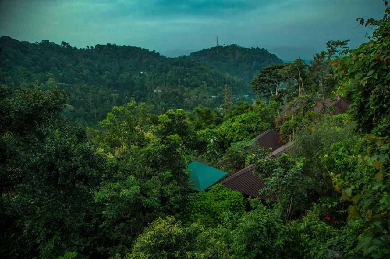 Ecotones Munnar By Eden Environs Hotel Ngoại thất bức ảnh